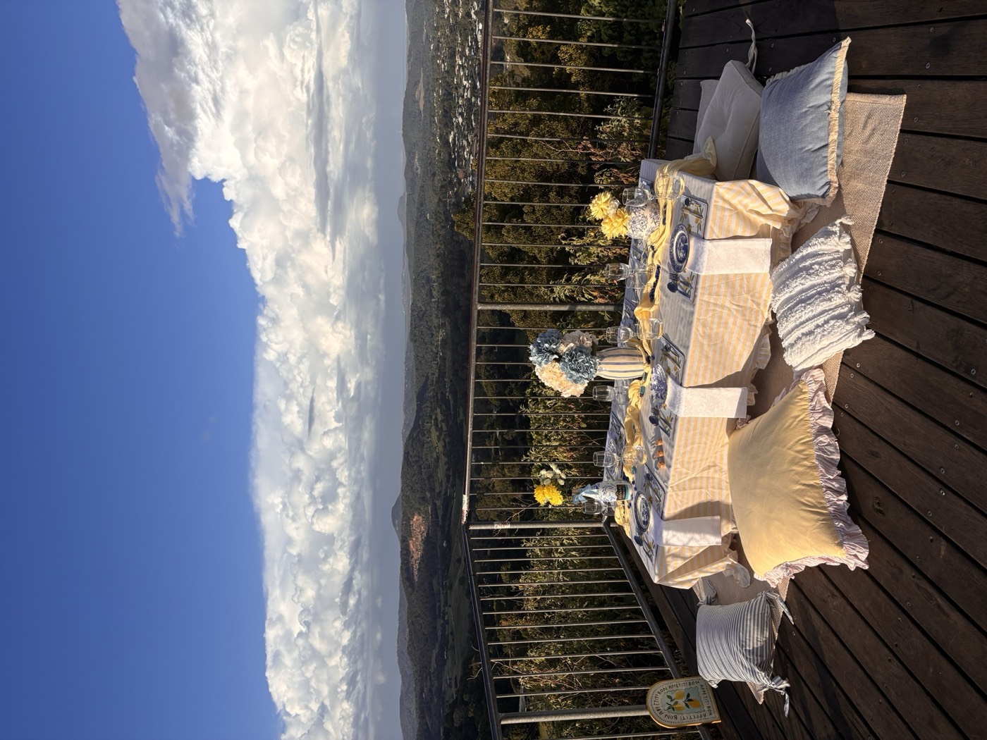 Luxury picnic styling